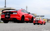 Ford Mustang dla firmy Driving Experience